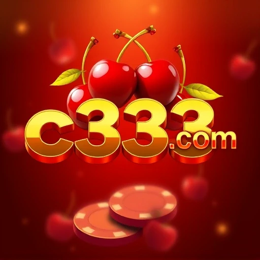 c333.com